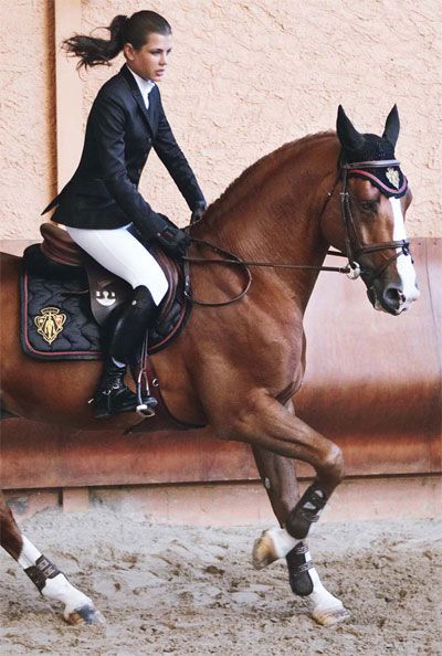 equestrian blog 