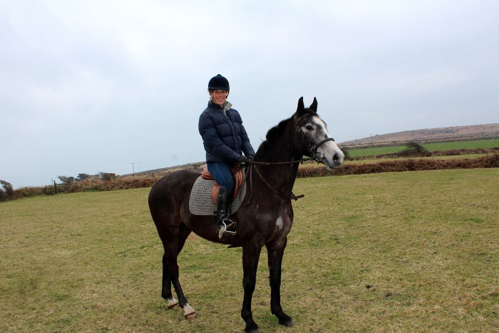 horse blog UK
