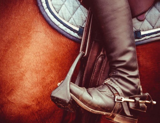 Top equestrian blogs and websites