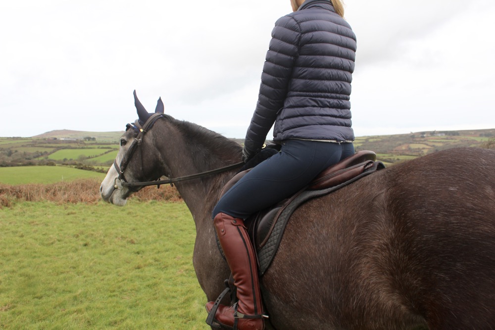 dainese equestrian breeches