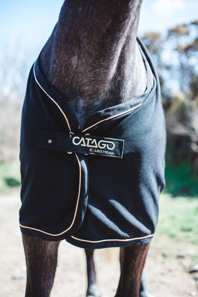 Catago Equestrian Review A Country LAdy