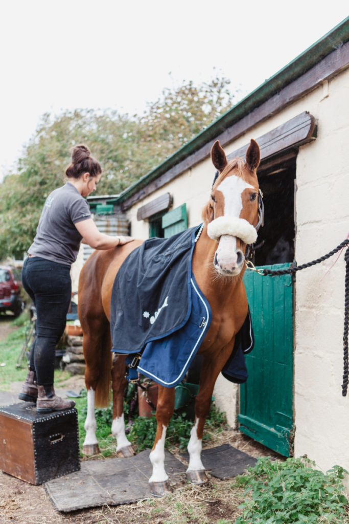 Equine sports massage blogger review