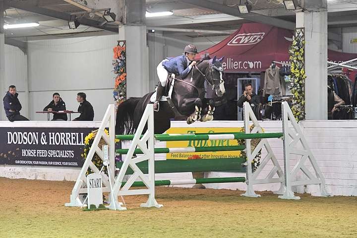 Elle McCoan Show Jumping Blog A Country Lady