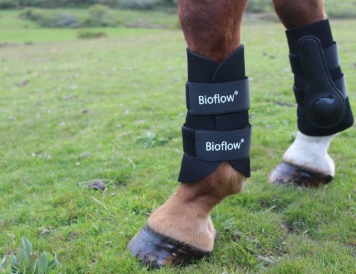 bioflow horse boots
