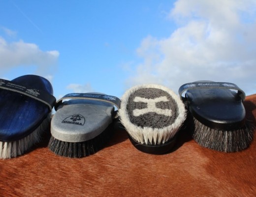 HAAS Horse Brushes