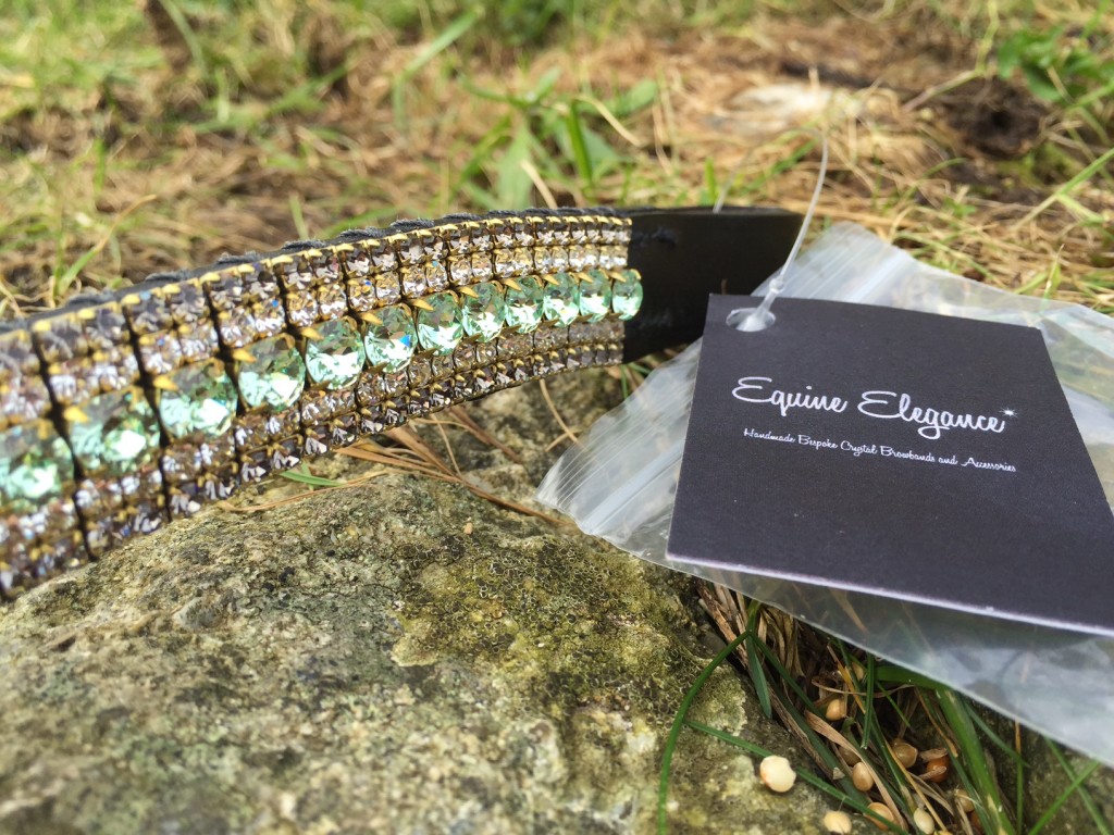 Equine Elegance Crystal browband