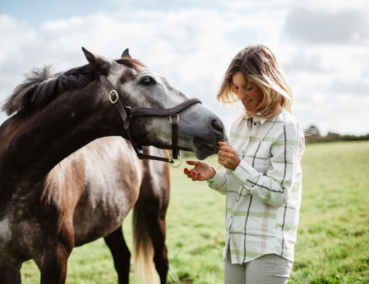 Training horses - natural horsemanship a country lady