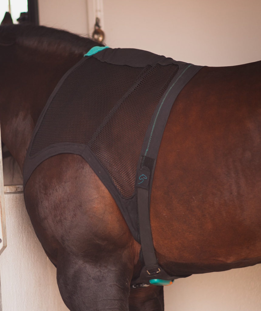 Equisense wearable tech for horses