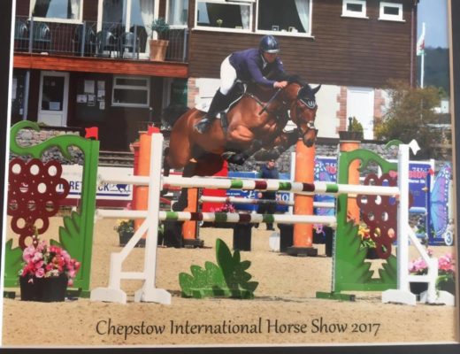 Elle McCoans Show Jumping Blog A Country Lady